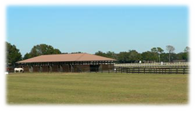 Citrus Springs Middle School